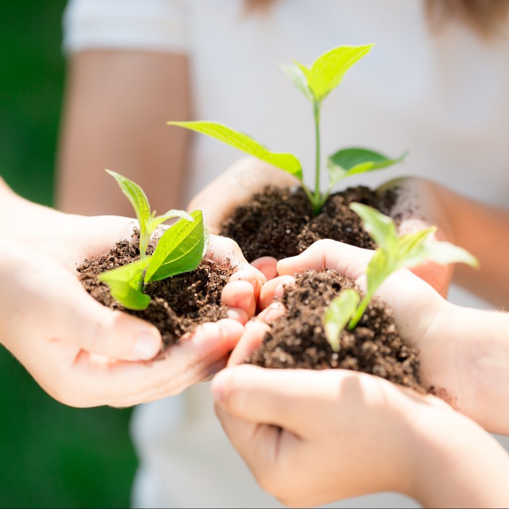 stem steam preschool nashville murfreesboro